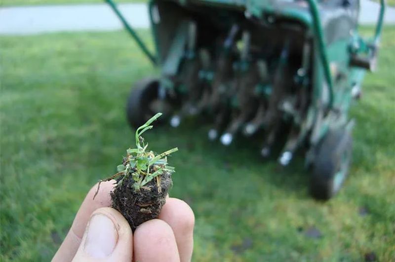 Dethatch And Aerate While Soil Is Warm Dethatch And Aerate While Soil Is Warm