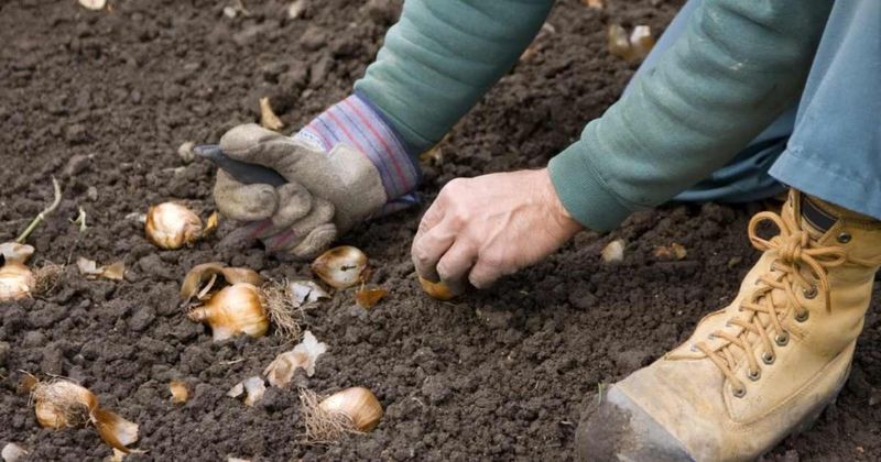 Dig Deeper In Warm Soil