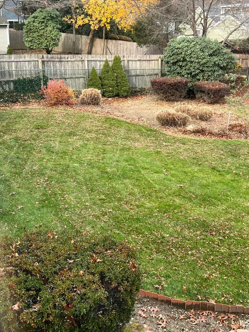 Dime-Sized Pieces Settle Right Into The Lawn Dime-Sized Pieces Settle Right Into The Lawn