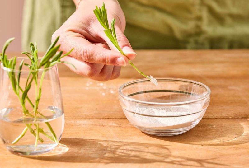 Dip The Ends In Rooting Hormone For A Boost
