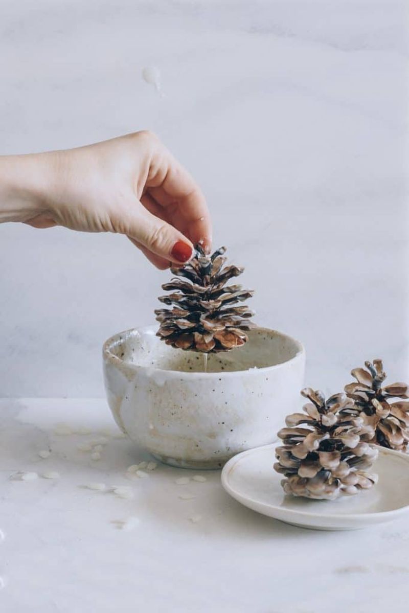 Dip Them In Wax For Fireplace Fire Starters
