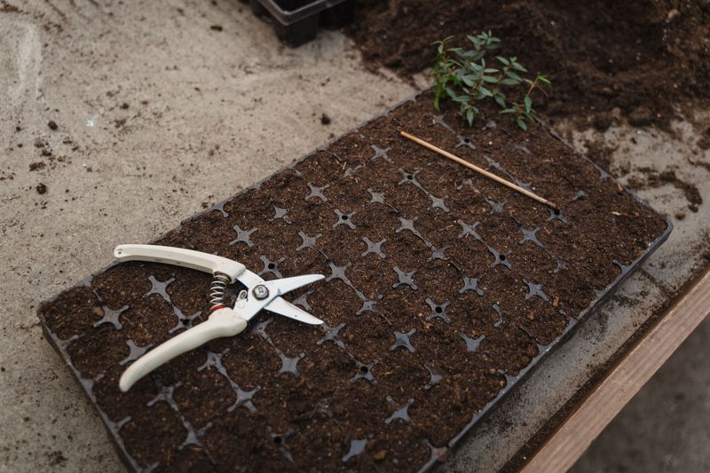 Dirty Tools And Pots Spread Disease