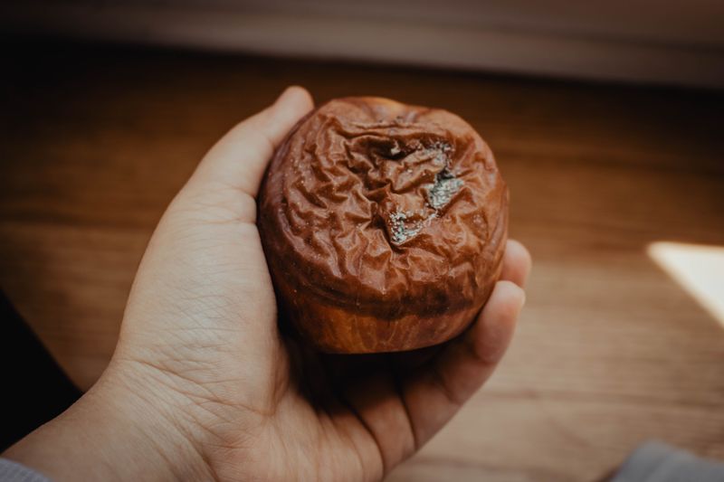 Discard Fruit That Is Mushy, Leaky, Or Moldy
