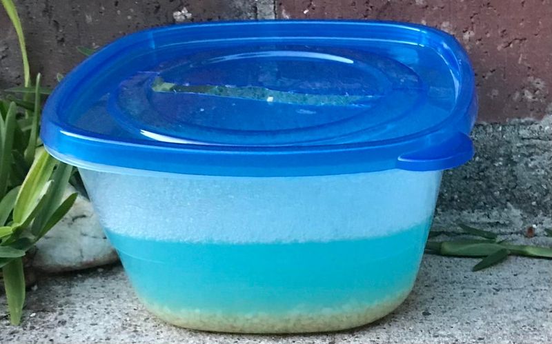 Dish Soap Reduces Surface Tension So Bugs Sink Into The Water