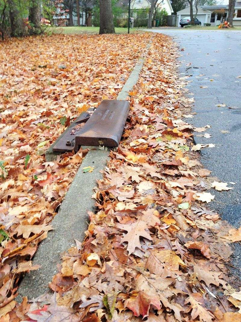 Don’t Blow Leaves Into The Street To Comply