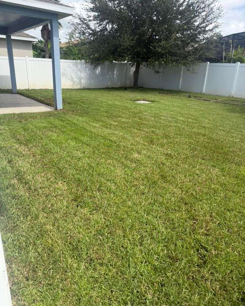 Don't Scalp The Lawn Before Winter