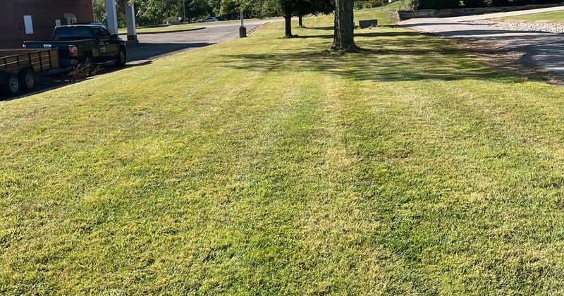 Don’t Scalp The Lawn