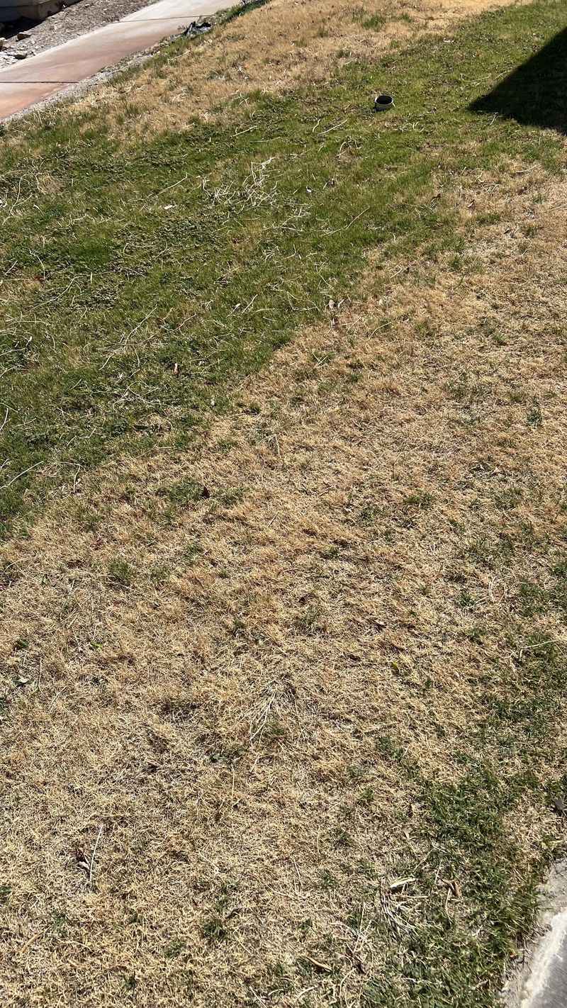 Dormancy Cuts Mowing And Feeding Dormancy Cuts Mowing And Feeding