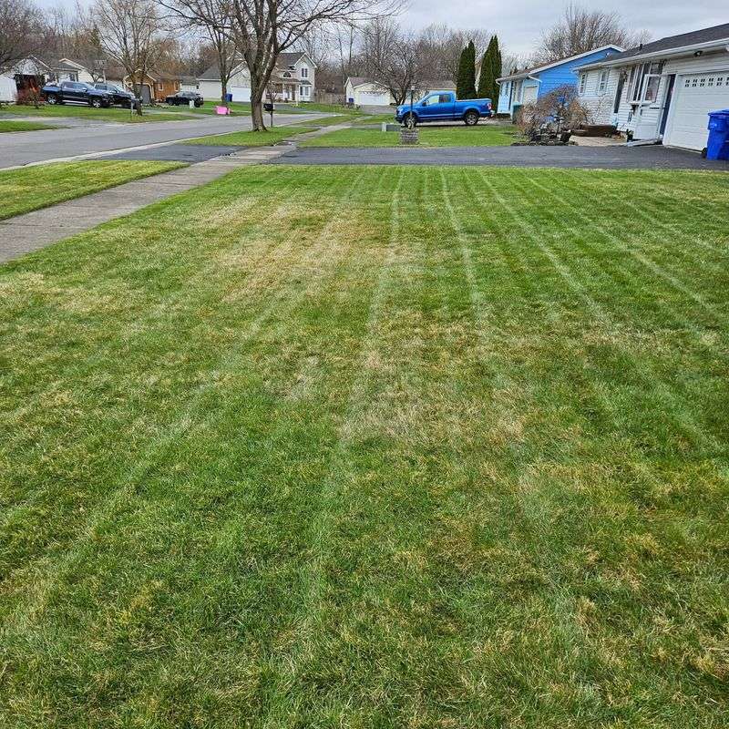 Dormant Seeding Is The Backup Plan