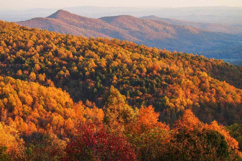 Down On The Shenandoah Valley Floor In Early November