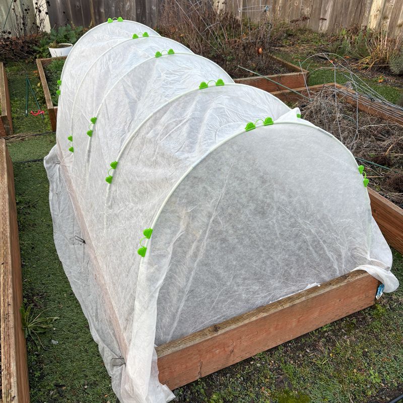 Drape Frost Cloth Over Tender Plants Drape Frost Cloth Over Tender Plants
