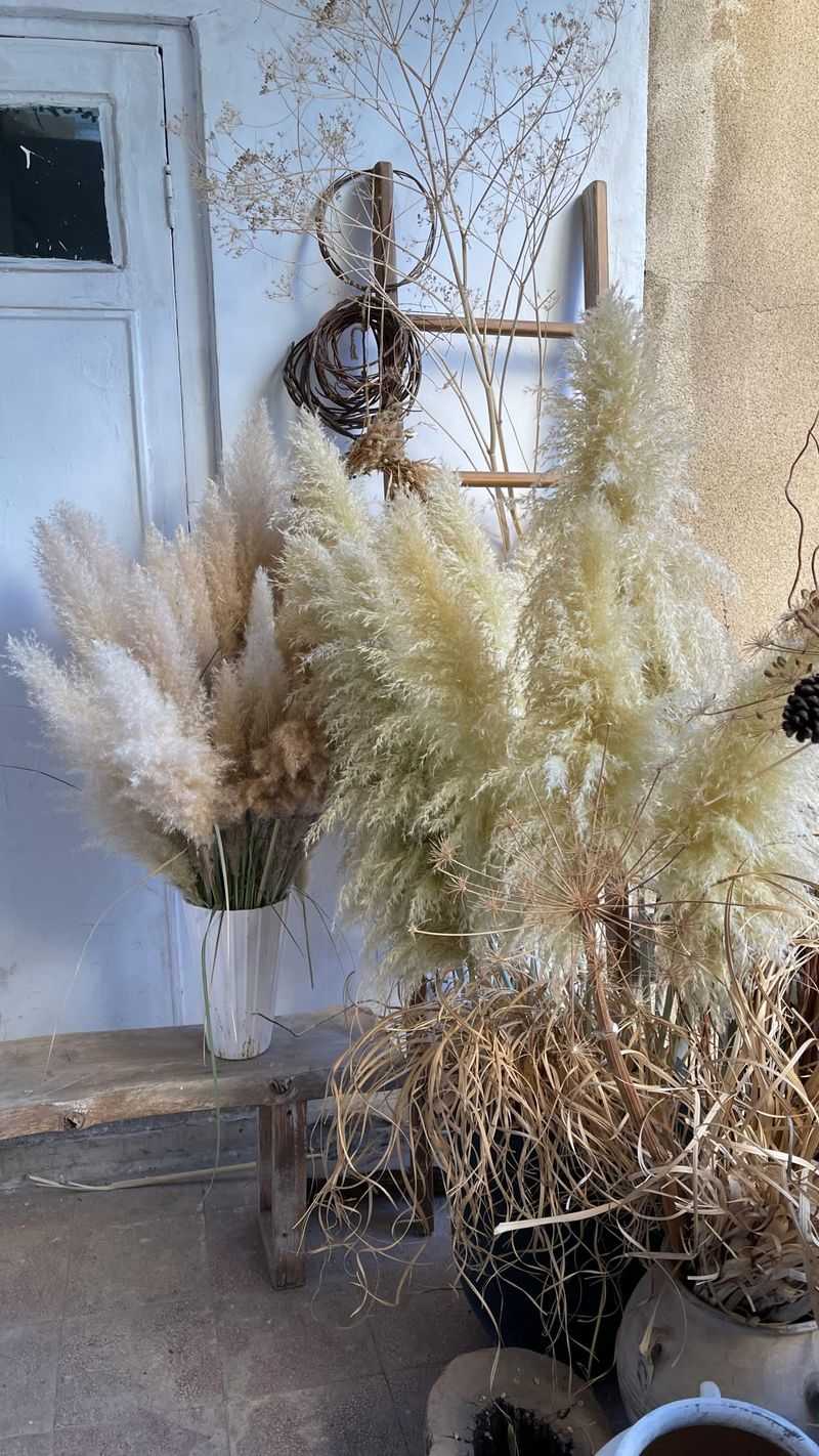 Dried Grasses And Seed Heads Bring Texture