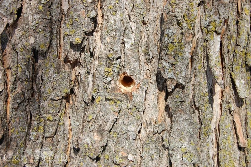 Drill A Hole With Purpose Drill A Hole With Purpose