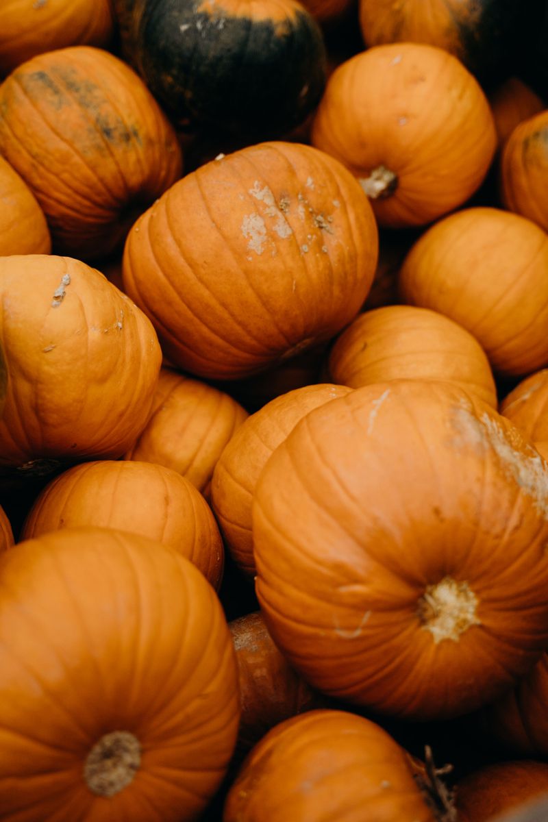 Drop Off Pumpkins At A Community Compost Event