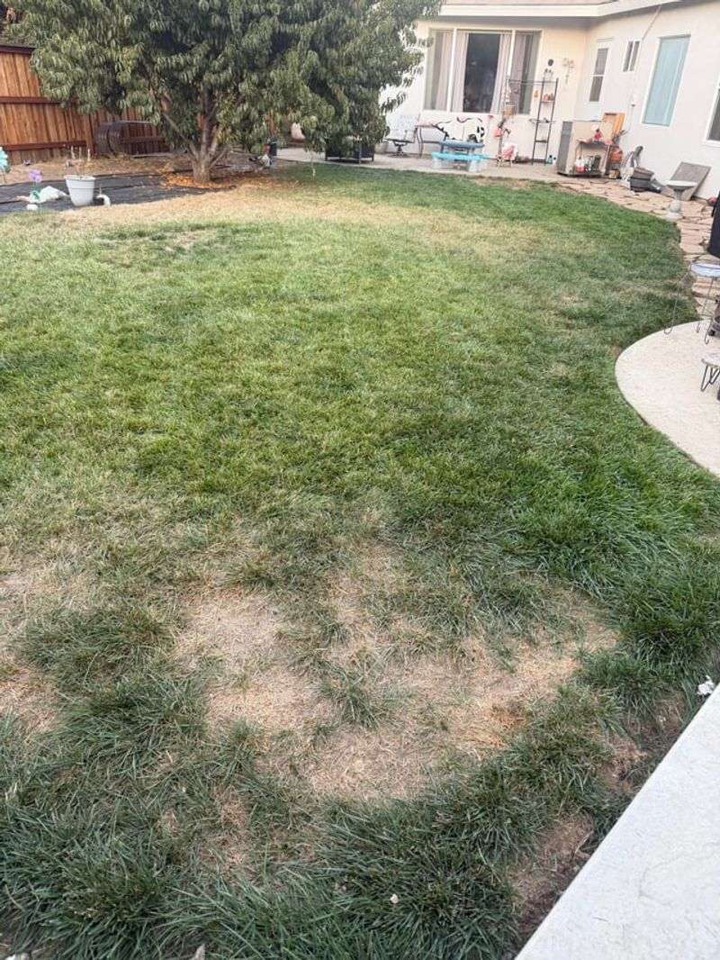 Drought Emergencies Limit HOA Fines For Brown Lawns Drought Emergencies Limit HOA Fines For Brown Lawns