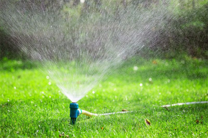 Drought Kept Some Northeast Florida Lawns On Once-A-Week All Year