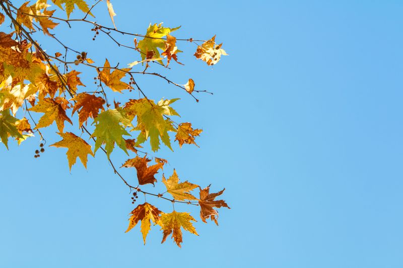 Dry Autumn Air Cools Down Faster