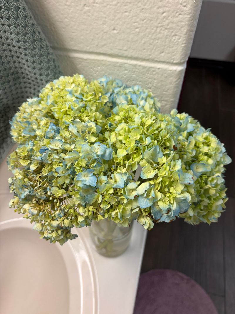 Dry Blooms In A Vase For Soft Color Dry Blooms In A Vase For Soft Color