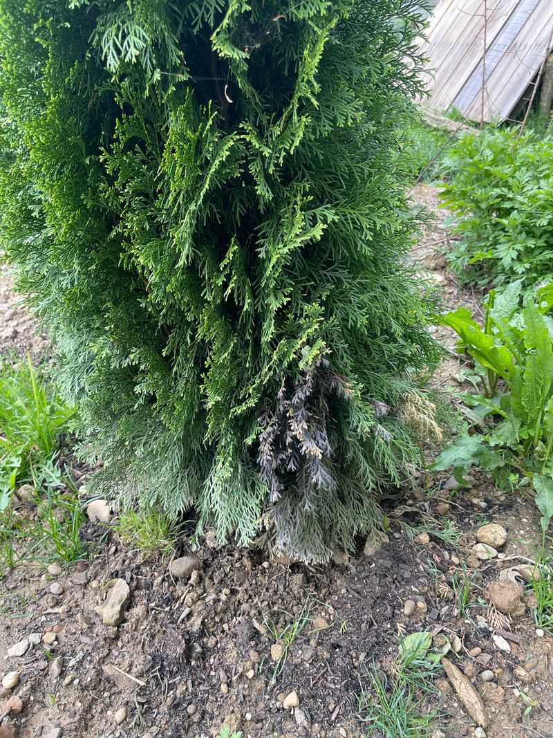 Dry Fall Conditions Leave Less Moisture In The Soil