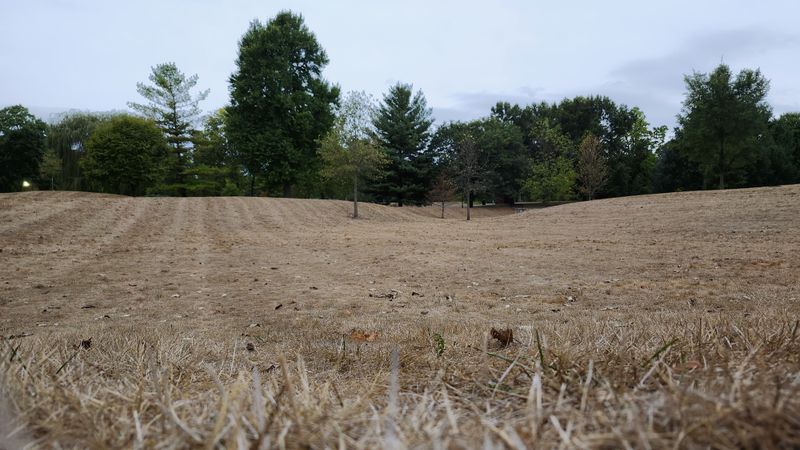 Dry Falls Can Leave Ohio Lawns Dormant