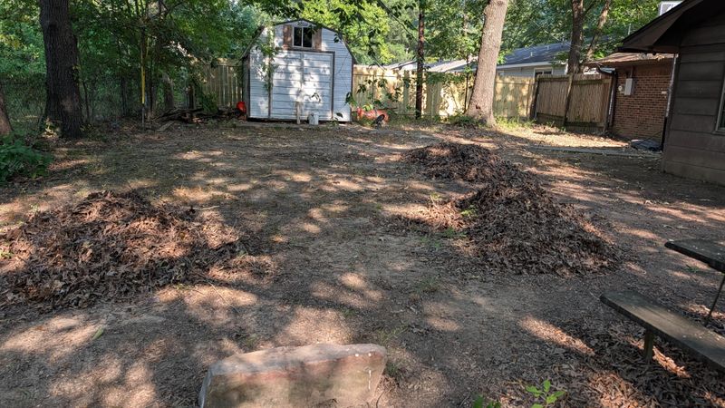 Dry Leaf Piles Near The House