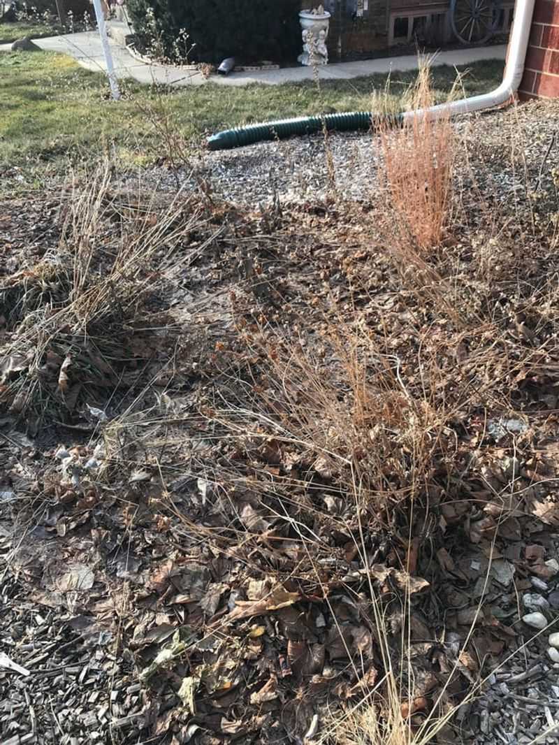 Dry Leaves Chop Up Far Easier Than Wet, Matted Ones