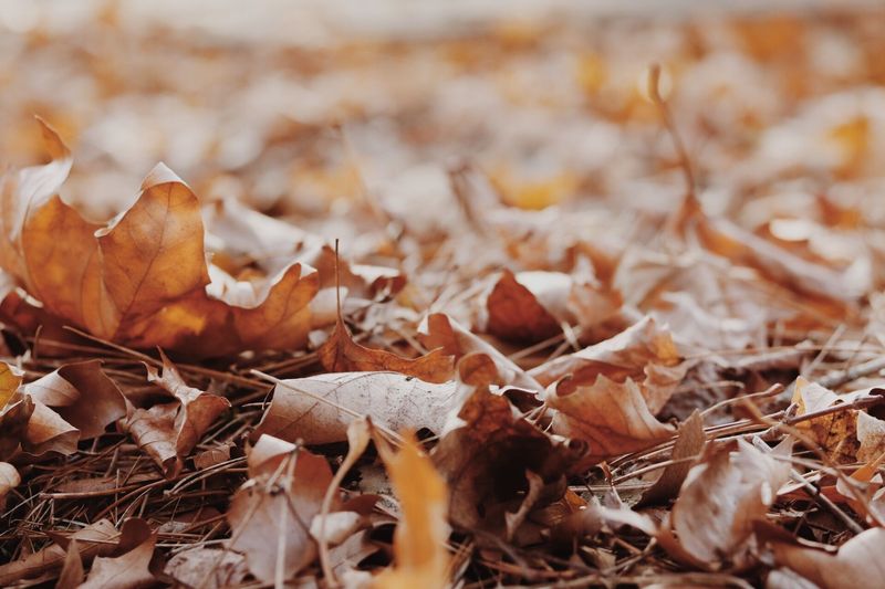 Dry October Air And Gusty Fronts Increase The Risk