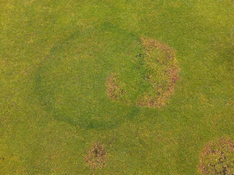 Dry Rings Repel Water