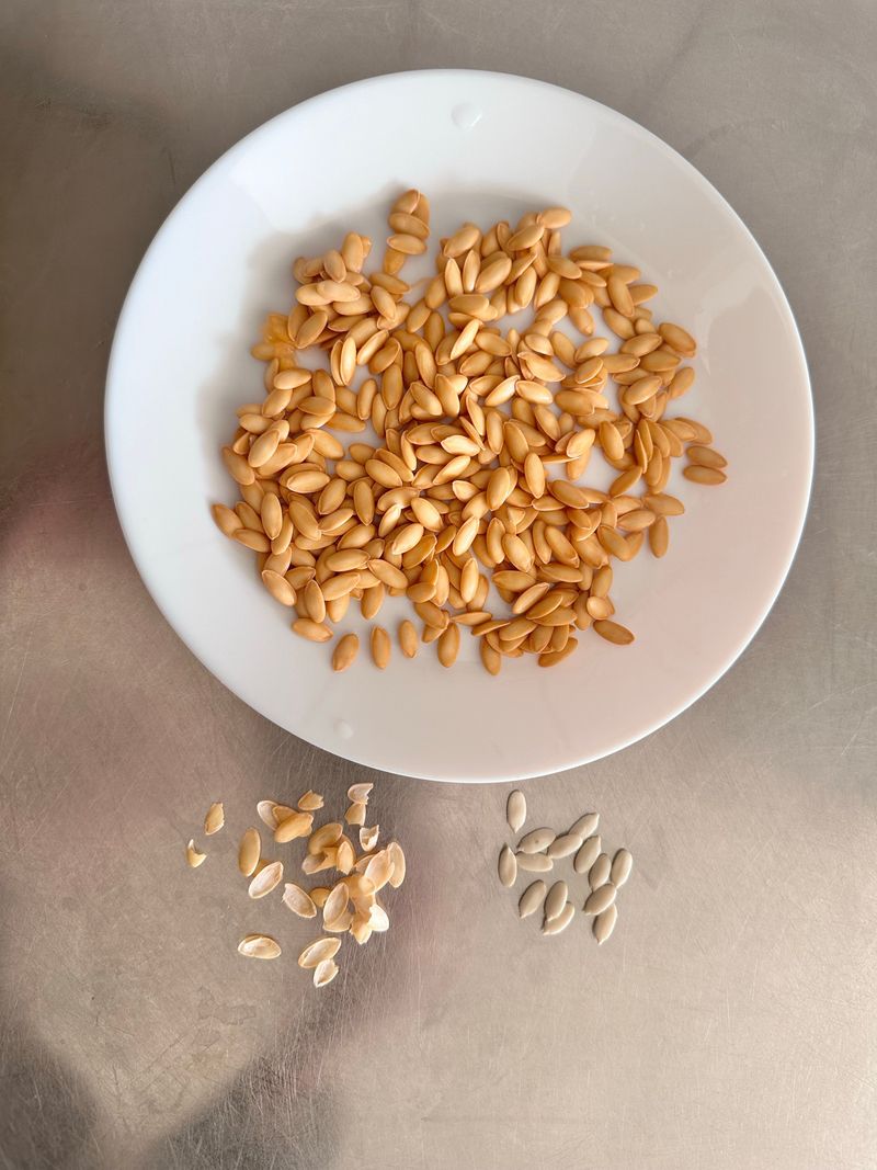 Dry Seeds Thoroughly Indoors Dry Seeds Thoroughly Indoors