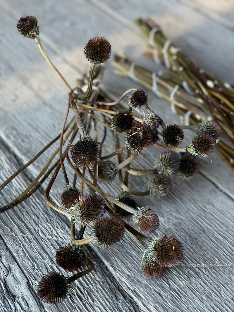 Dry The Heads Indoors One To Two Weeks