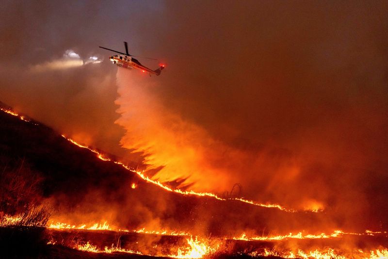 Dry Vegetation Raises Fire Risk