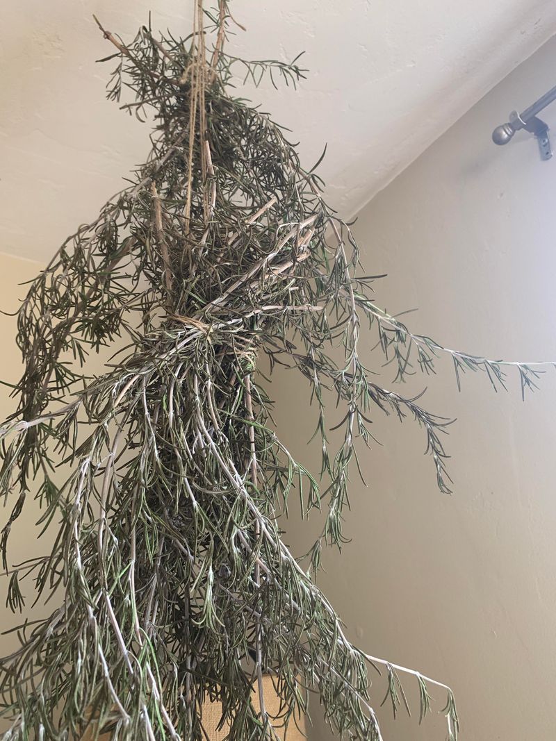 Drying Bundles For Year-Round Cooking