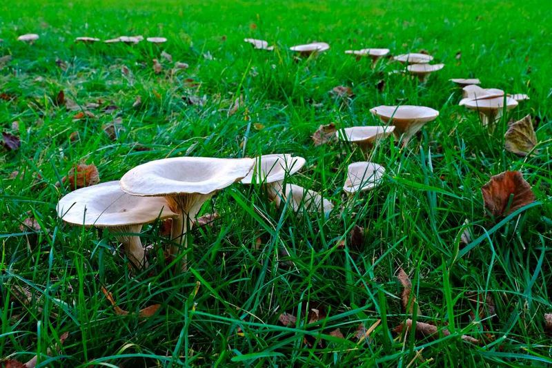 Early Fall Moisture Behind The Sudden Pop-Up