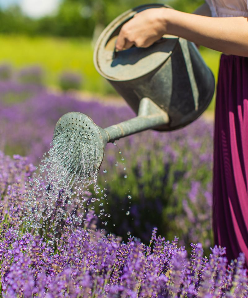 Ease Up On The Watering Can