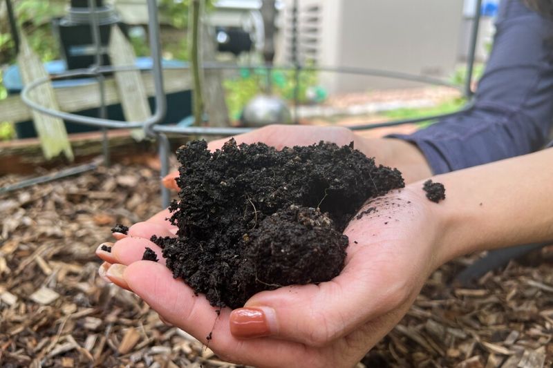 Easier Sampling In Dry, Workable Soil