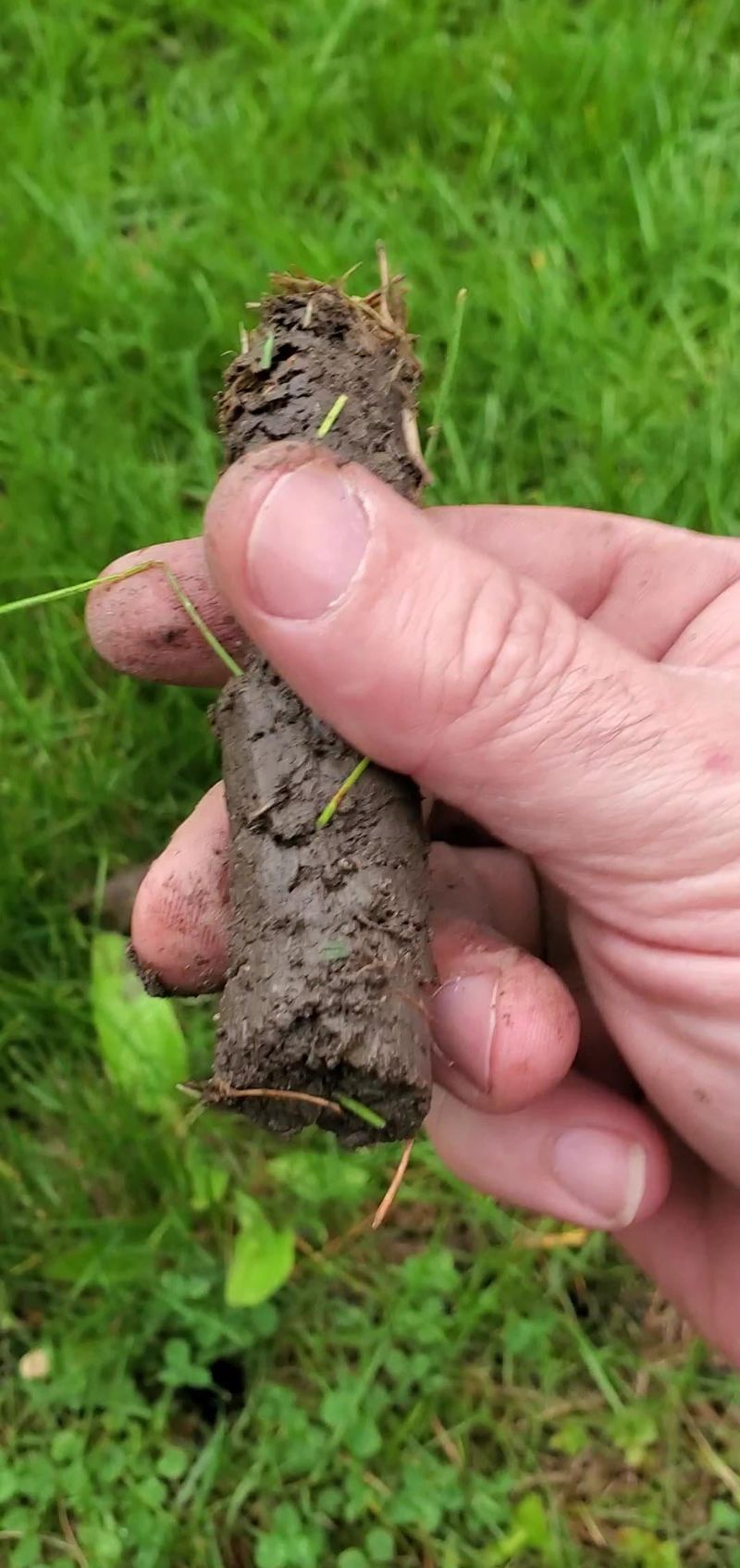 Easy Habits For A Smoother Yard