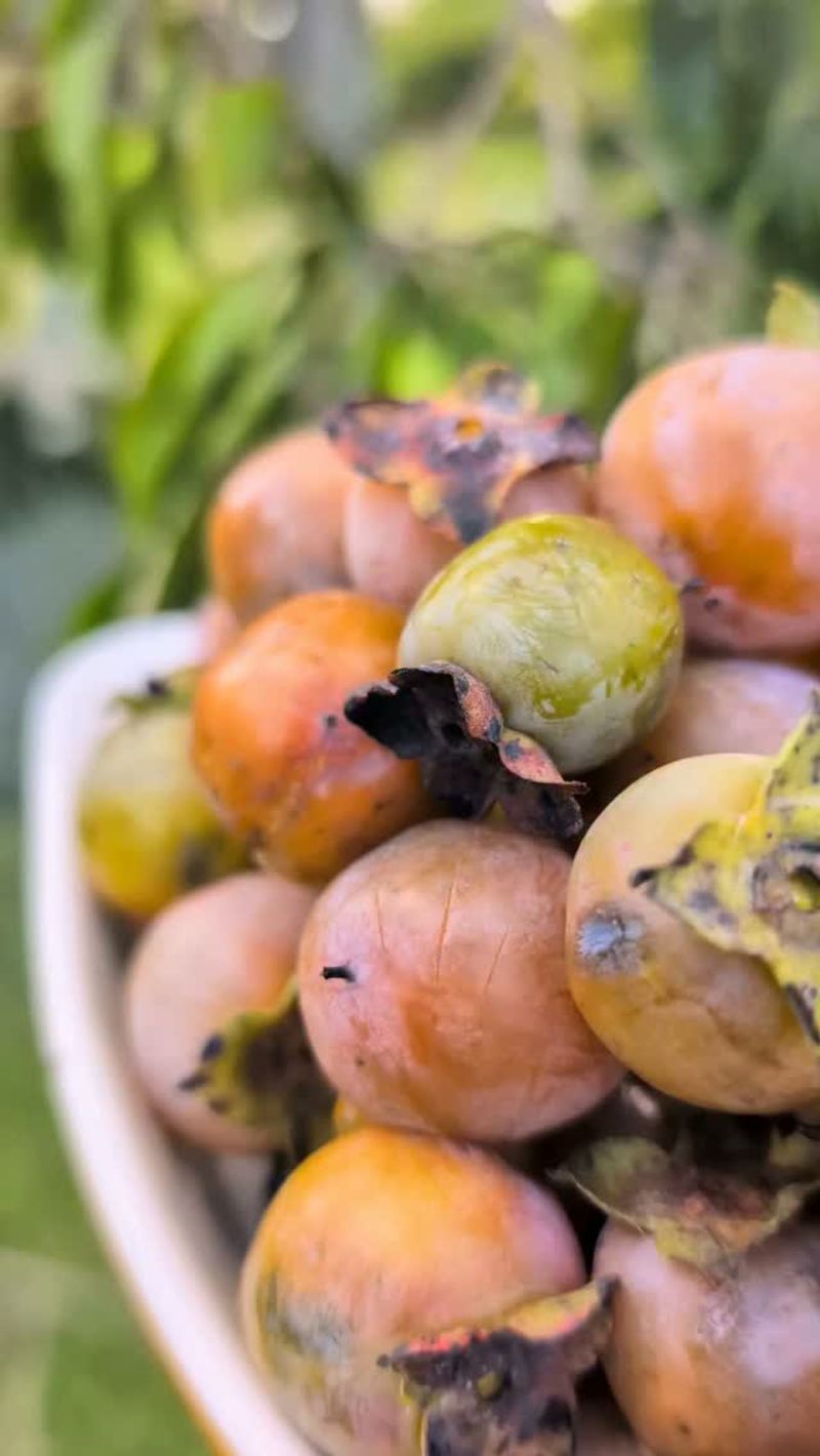 Eat Them Fresh Once They’re Soft And Wrinkly