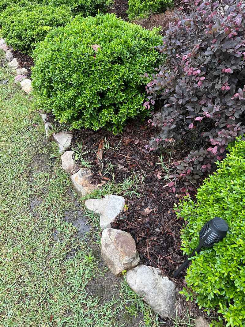 Edge Beds To Stop Creeping Weeds Edge Beds To Stop Creeping Weeds