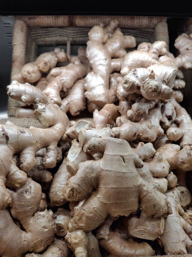 Edible Ginger Edible Ginger