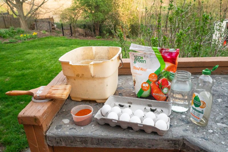Egg-Based Repellents Are Among The Most Effective