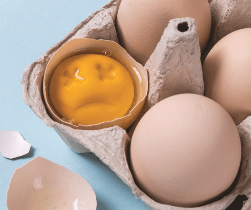 Egg Mixture For Shrubs And Flowers