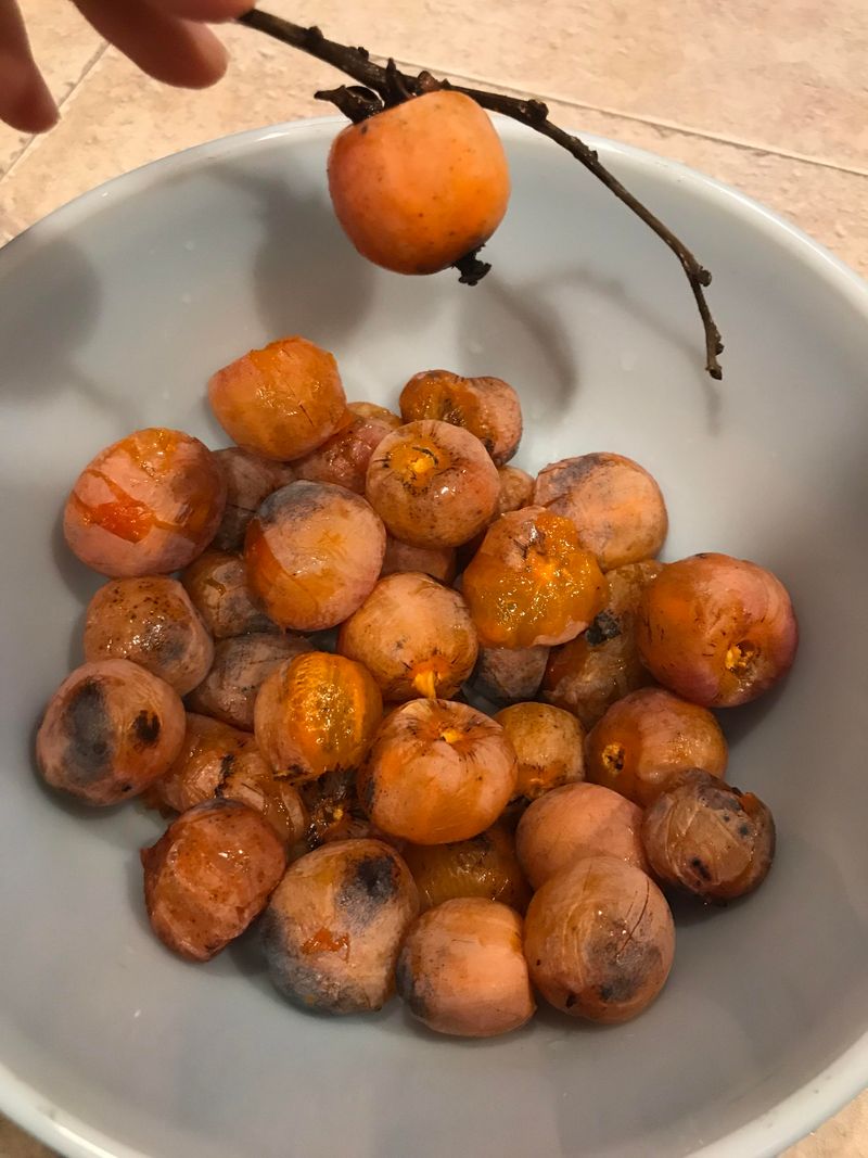 Either Way, You Get A Sweet Fall Treat Either Way, You Get A Sweet Fall Treat