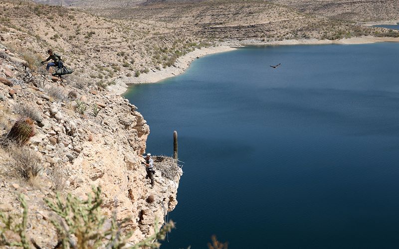 Elevation shifts the calendar across Arizona