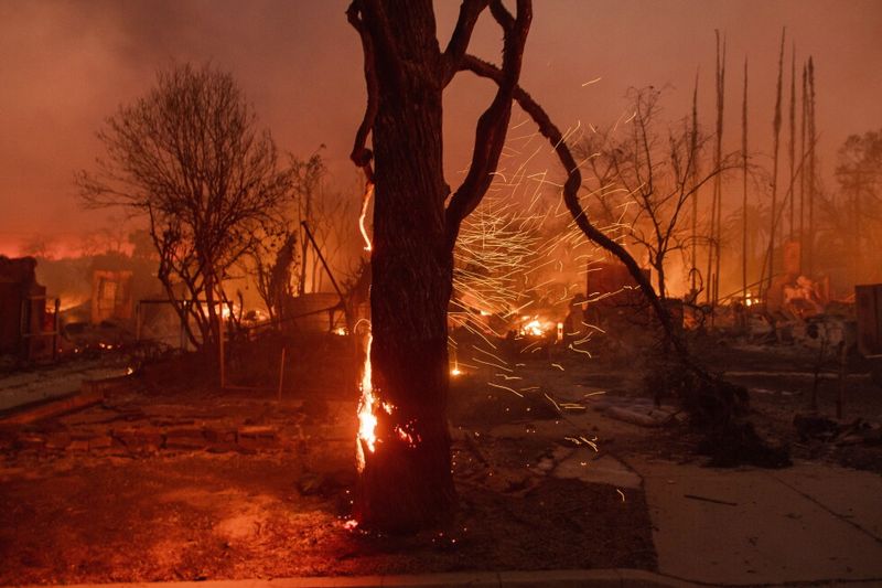 Embers Travel Far On Strong Offshore Winds