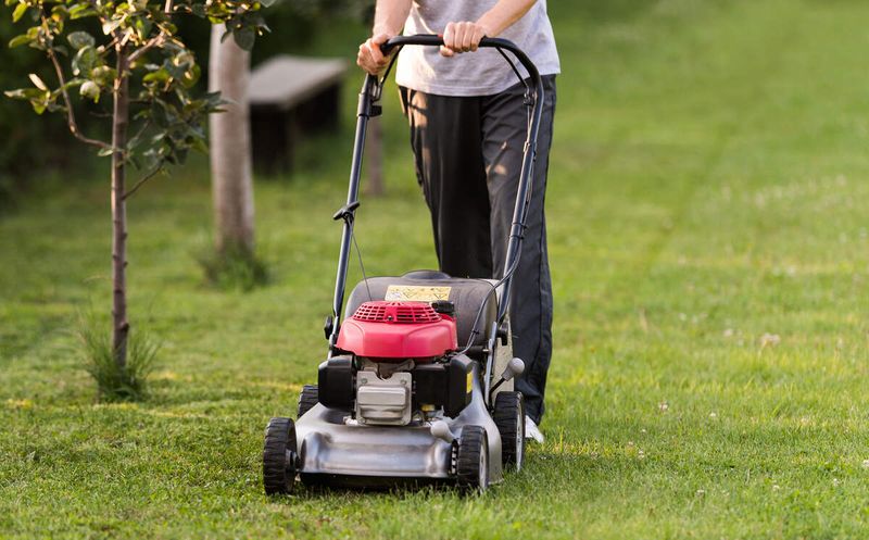 Ending The Virginia Mowing Season At The Right Time Ending The Virginia Mowing Season At The Right Time