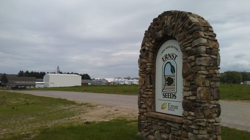 Ernst Conservation Seeds In Meadville