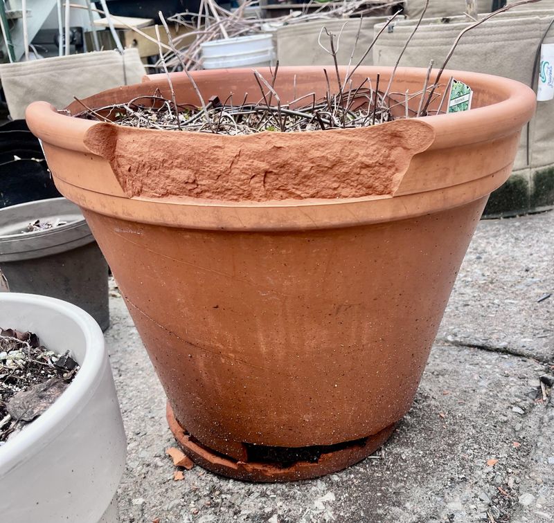 Every Freeze And Thaw Widens The Damage Every Freeze And Thaw Widens The Damage