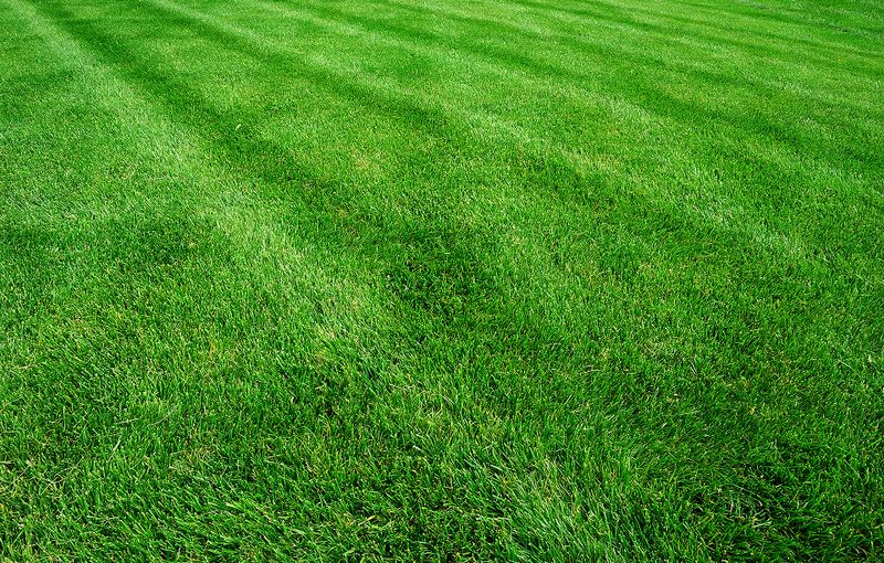 Expect Stronger Roots And An Earlier Spring Green-Up Expect Stronger Roots And An Earlier Spring Green-Up