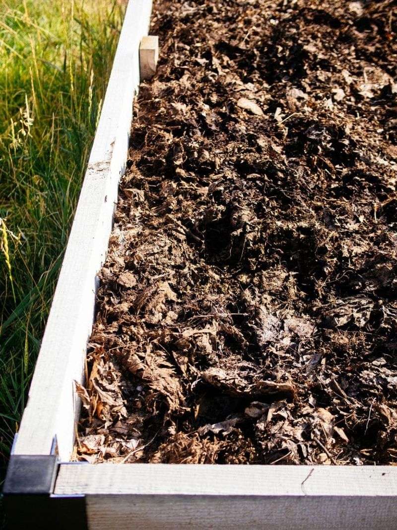 Expect Usable Leaf Mold In About Six Months To Two Years Expect Usable Leaf Mold In About Six Months To Two Years