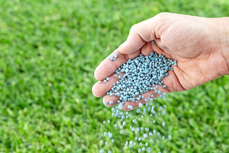 Extra Nitrogen Right Now Can Make Disease Worse
